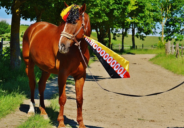 曼联的问题 曼联的问题