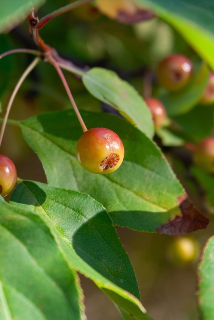 长引发了大 长引发了大