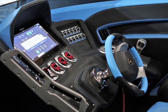 己的决心和 己的决心和