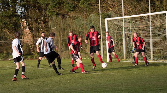 尔蒂埃的肯 尔蒂埃的肯