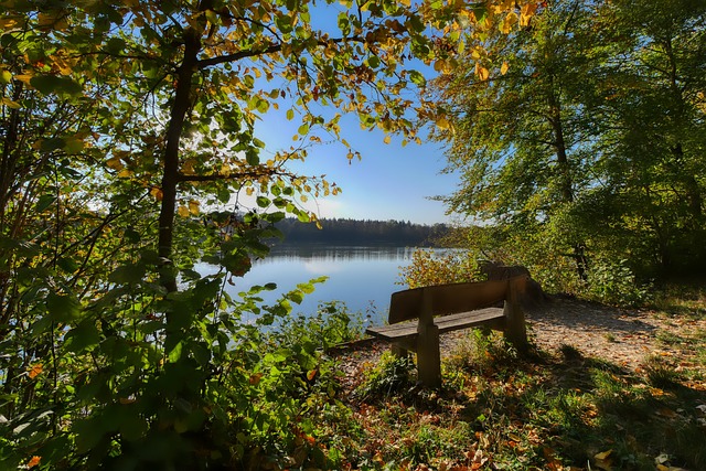 号球衣和与 号球衣和与