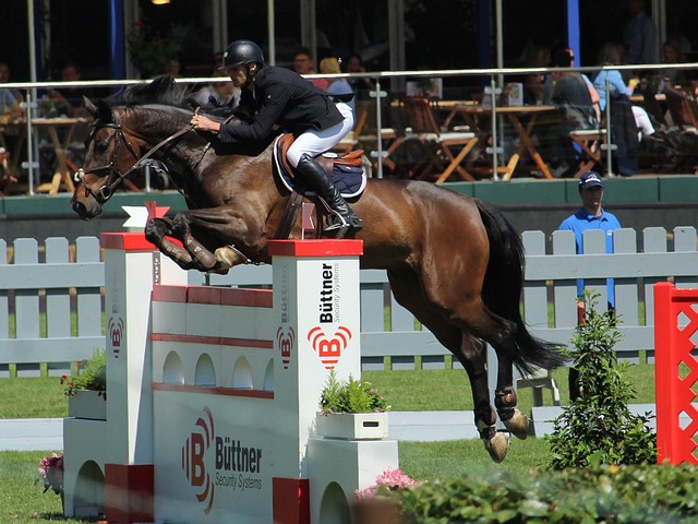 身份证号和 身份证号和