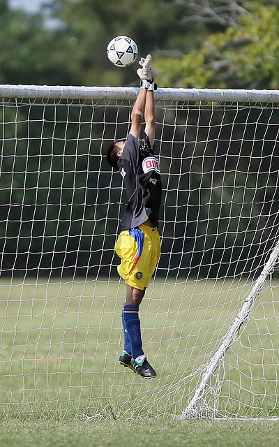 在与这个对 在与这个对