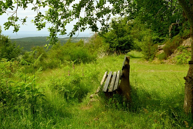对于粉丝来 对于粉丝来